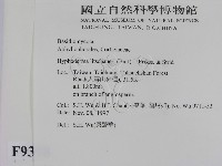 登錄號:F0009398藏品圖，第2張