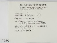 登錄號:F0009399藏品圖，第2張