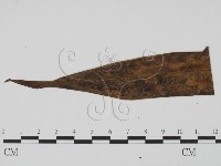 登錄號:F0009400藏品圖，第1張