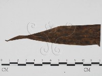 登錄號:F0009400藏品圖，第3張