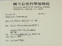 登錄號:F0009402藏品圖，第2張