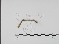 登錄號:F0009402藏品圖，第1張