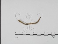 登錄號:F0009402藏品圖，第3張