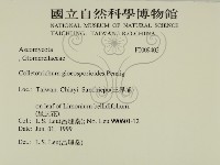 登錄號:F0009403藏品圖，第2張