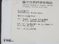 登錄號:F0009404藏品圖，第2張