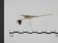 登錄號:F0009404藏品圖，第3張