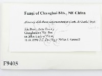 登錄號:F0009405藏品圖，第2張