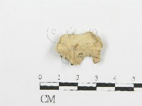 登錄號:F0009405藏品圖，第1張