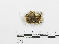 登錄號:F0009405藏品圖，第3張