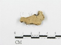 登錄號:F0009406藏品圖，第1張