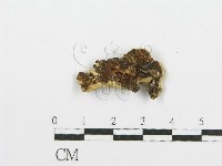 登錄號:F0009406藏品圖，第3張