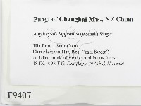 登錄號:F0009407藏品圖，第2張