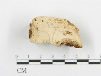 登錄號:F0009407藏品圖，第3張