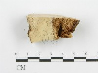 登錄號:F0009407藏品圖，第4張