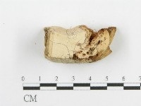 登錄號:F0009407藏品圖，第5張