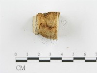 登錄號:F0009407藏品圖，第6張