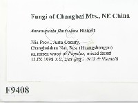 登錄號:F0009408藏品圖，第2張