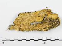 登錄號:F0009408藏品圖，第1張