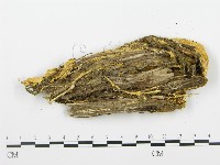 登錄號:F0009408藏品圖，第3張