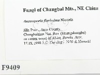 登錄號:F0009409藏品圖，第2張