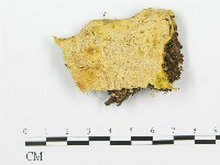 登錄號:F0009409藏品圖，第1張