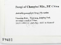 登錄號:F0009411藏品圖，第2張