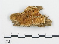 登錄號:F0009411藏品圖，第1張