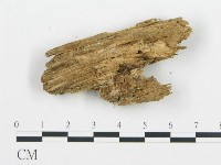 登錄號:F0009411藏品圖，第3張