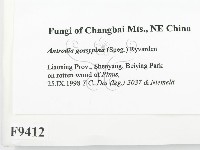 登錄號:F0009412藏品圖，第2張