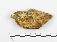 登錄號:F0009412藏品圖，第1張