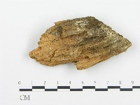 登錄號:F0009412藏品圖，第3張