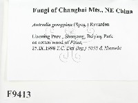 登錄號:F0009413藏品圖，第2張