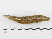 登錄號:F0009413藏品圖，第3張