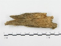 登錄號:F0009413藏品圖，第4張