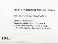 登錄號:F0009414藏品圖，第2張