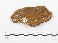 登錄號:F0009414藏品圖，第3張