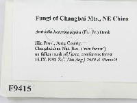 登錄號:F0009415藏品圖，第2張