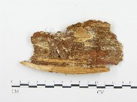 登錄號:F0009415藏品圖，第3張