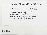 登錄號:F0009416藏品圖，第2張