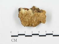 登錄號:F0009416藏品圖，第1張