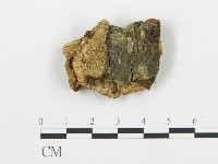 登錄號:F0009416藏品圖，第3張