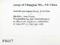 登錄號:F0009417藏品圖，第2張