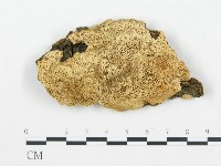 登錄號:F0009417藏品圖，第1張