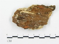 登錄號:F0009417藏品圖，第3張