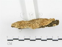 登錄號:F0009417藏品圖，第4張