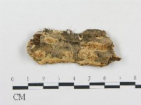 登錄號:F0009418藏品圖，第1張