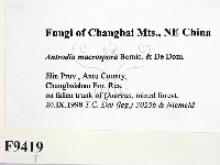 登錄號:F0009419藏品圖，第2張