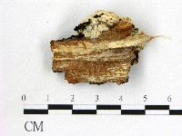 登錄號:F0009419藏品圖，第3張