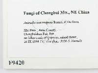 登錄號:F0009420藏品圖，第2張