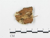 登錄號:F0009420藏品圖，第3張